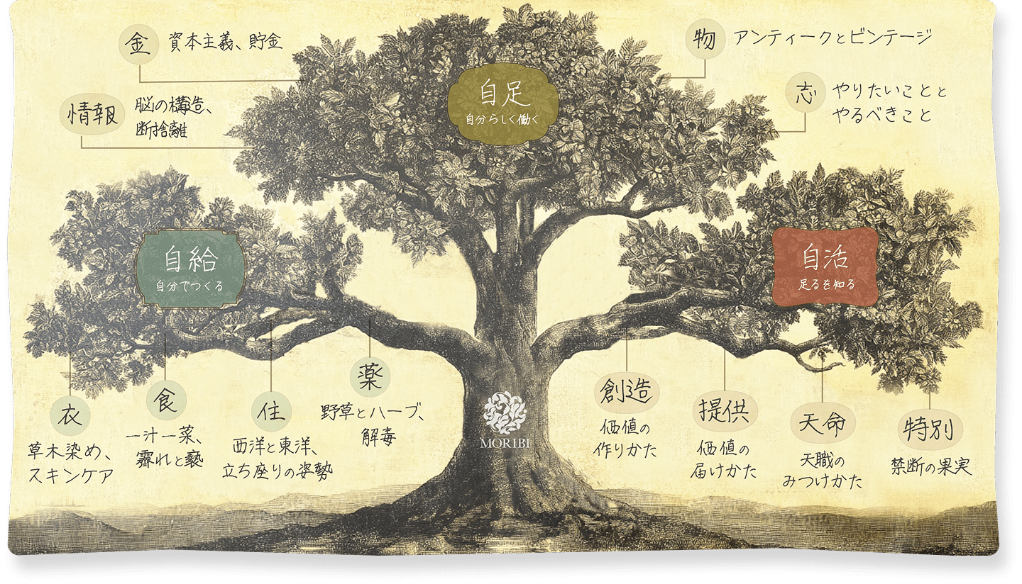 大樹のように体系化した十二回の講義